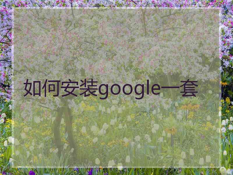 如何安装google一套