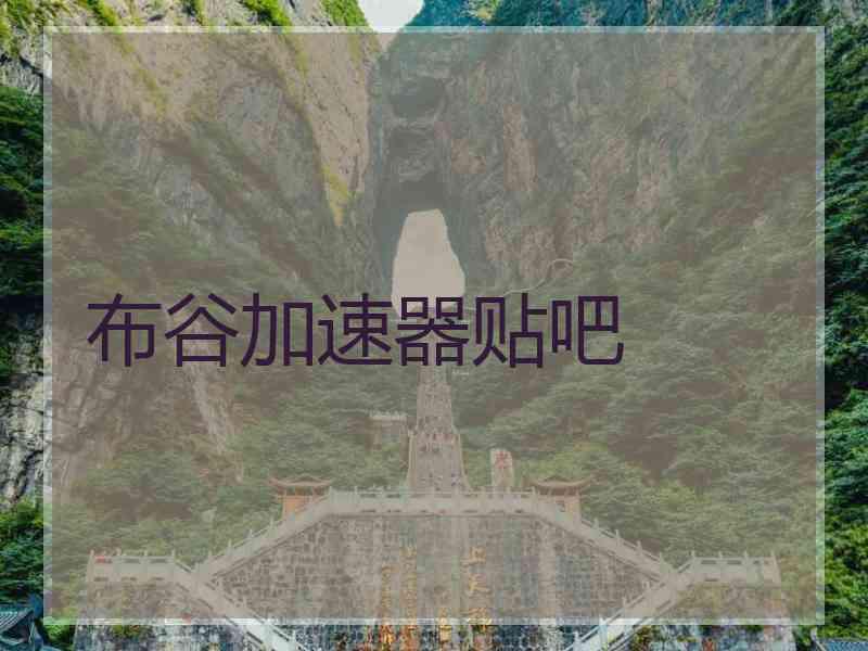 布谷加速器贴吧
