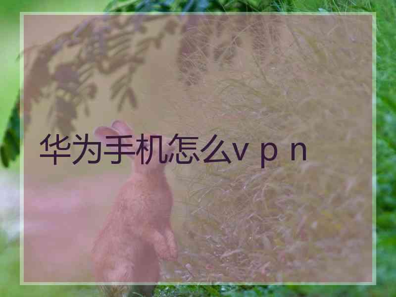 华为手机怎么v p n