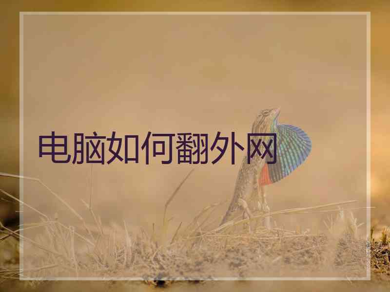 电脑如何翻外网