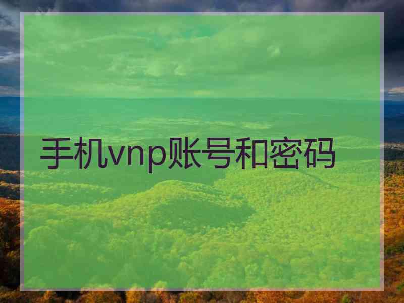 手机vnp账号和密码
