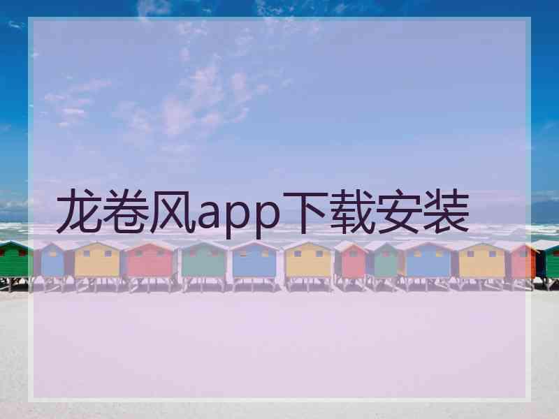 龙卷风app下载安装