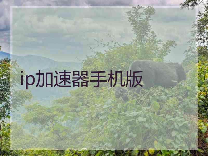 ip加速器手机版
