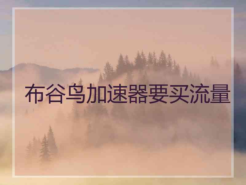 布谷鸟加速器要买流量