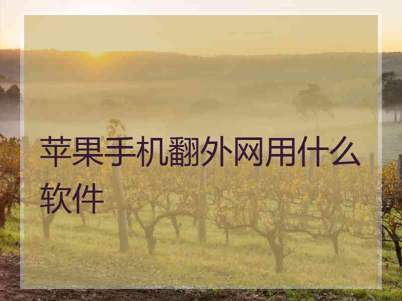 苹果手机翻外网用什么软件