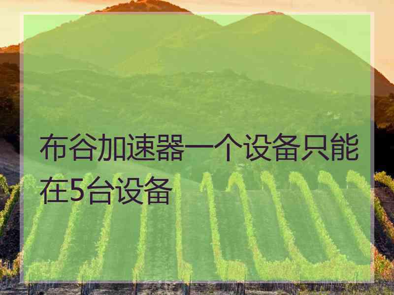 布谷加速器一个设备只能在5台设备