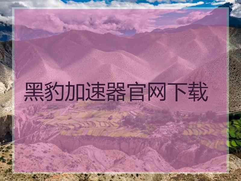 黑豹加速器官网下载