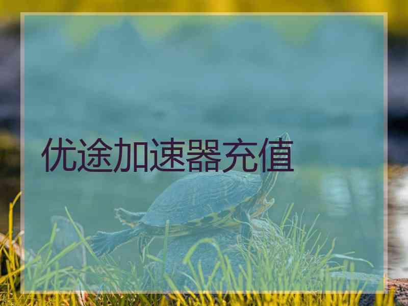 优途加速器充值