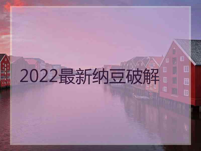 2022最新纳豆破解