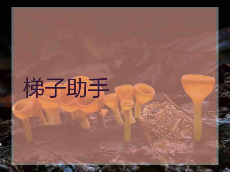 梯子助手