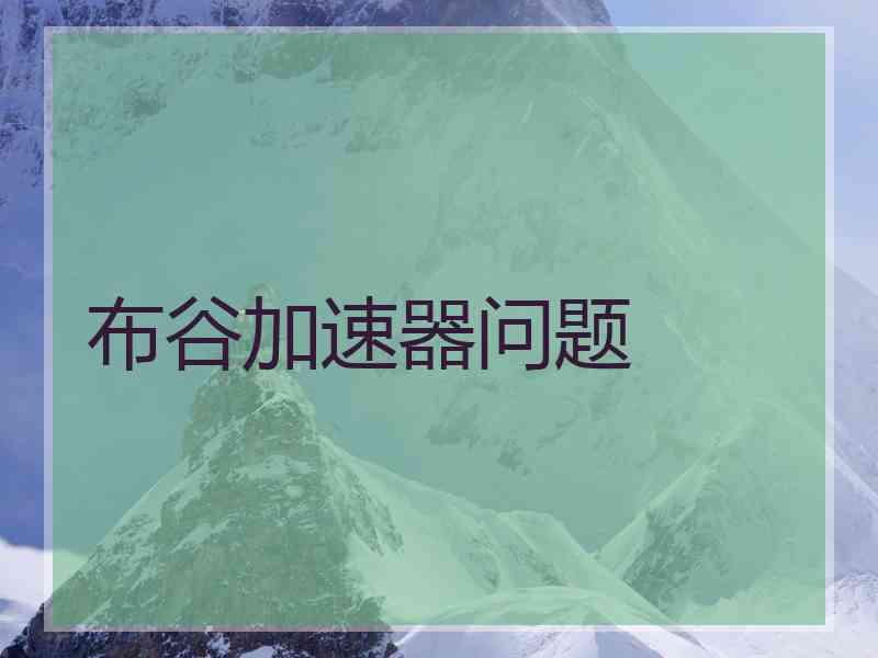 布谷加速器问题