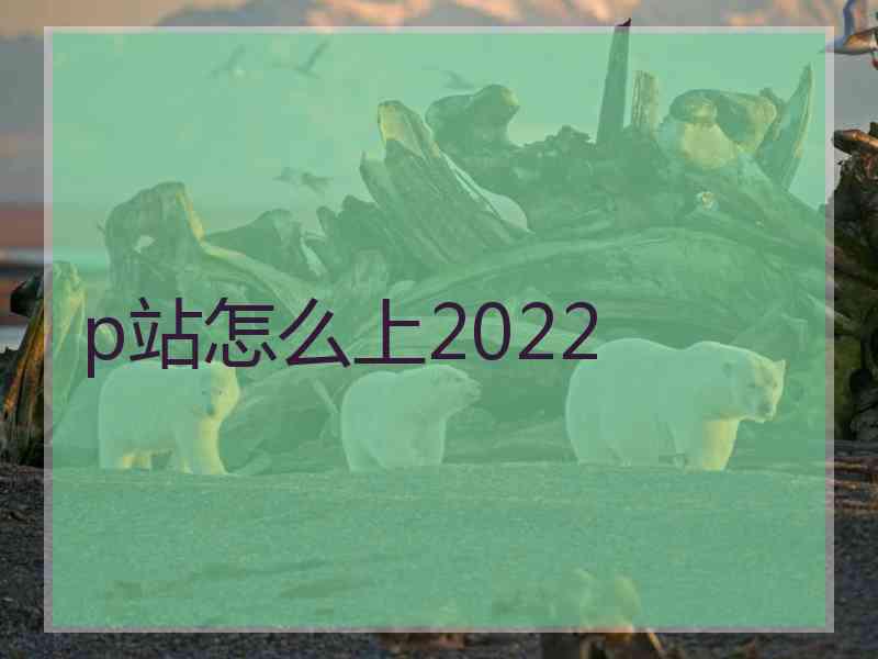 p站怎么上2022