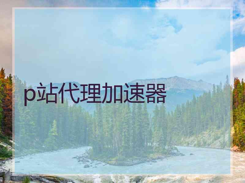 p站代理加速器