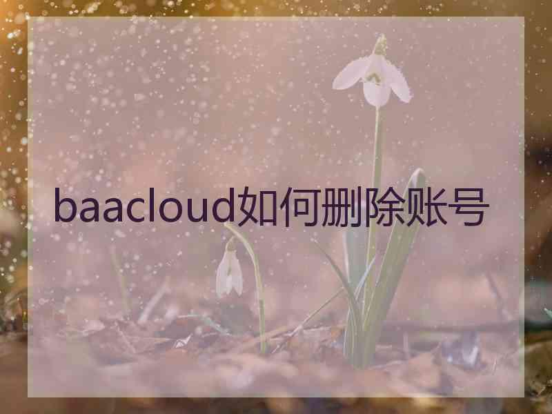 baacloud如何删除账号
