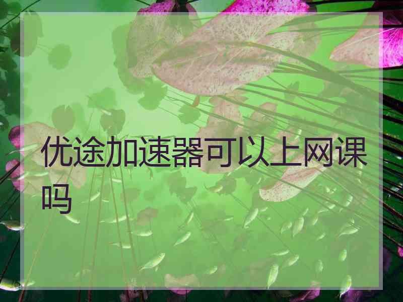 优途加速器可以上网课吗