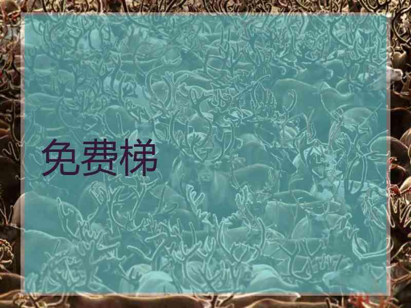 免费梯