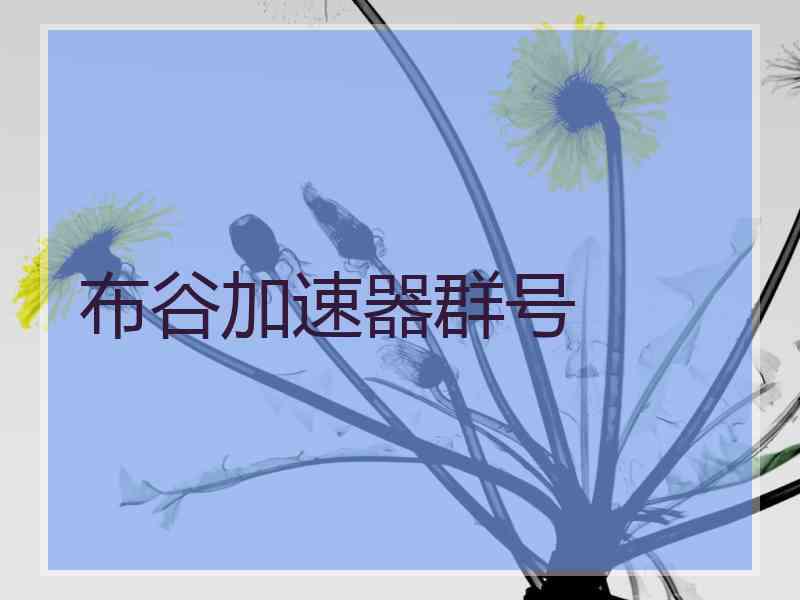 布谷加速器群号