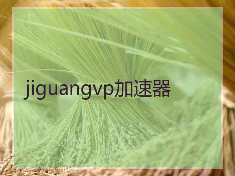 jiguangvp加速器