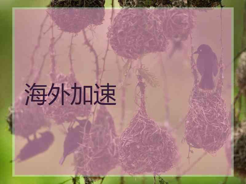 海外加速