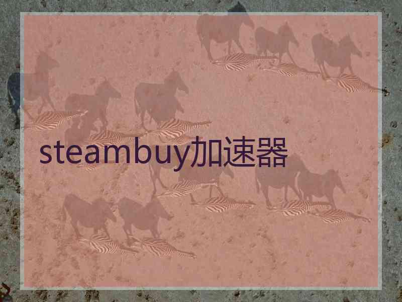 steambuy加速器