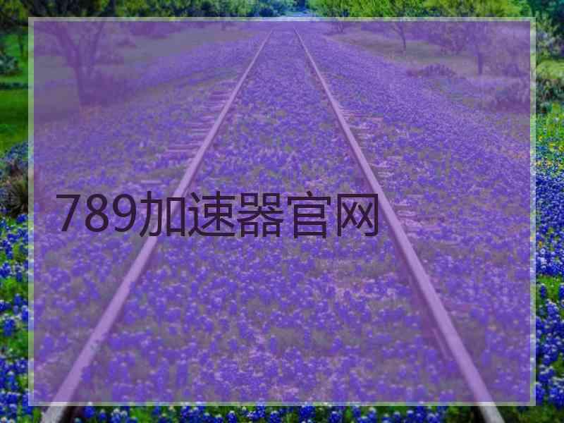 789加速器官网