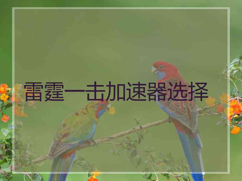 雷霆一击加速器选择